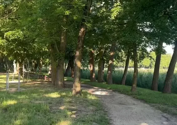 Ratownik Pmi wraca na jezioro miejskie w każdą niedzielę wakacji