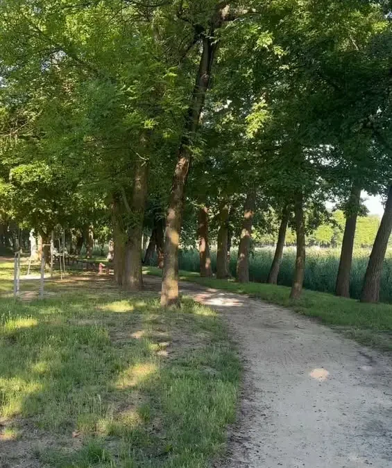 Ratownik Pmi wraca na jezioro miejskie w każdą niedzielę wakacji
