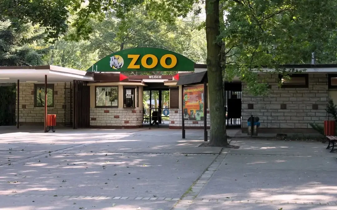 Zostały ostatnie wolne miejsca na wyjazd do Zoo w Poznaniu!