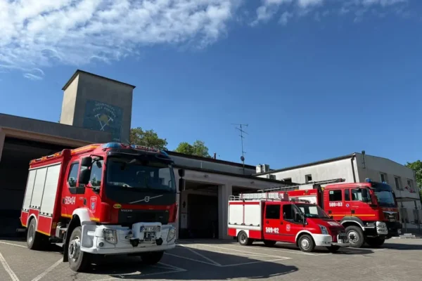 Drzewo na linii energetycznej w Białczu – interwencja OSP Chrzypsko Wielkie
