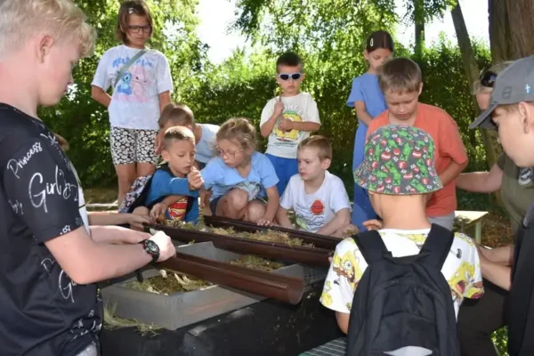 Leśna Kropla Mocy – warsztaty przyrodnicze dla dzieci w Chrzypsku Wielkim