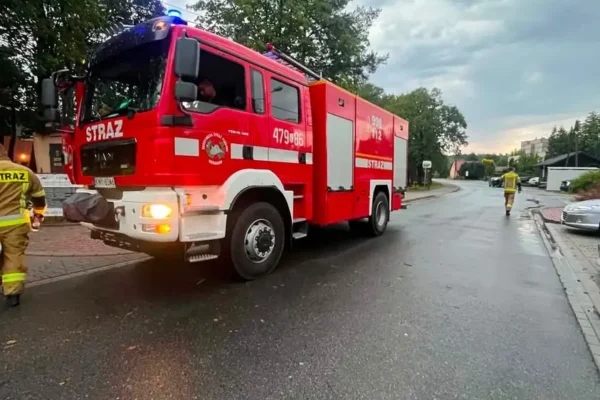 OSP Sieraków usuwa skutki burzy w gminie Dobczyce