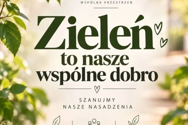 Gmina Kwilcz apeluje: nie przycinajcie samowolnie nowych nasadzeń