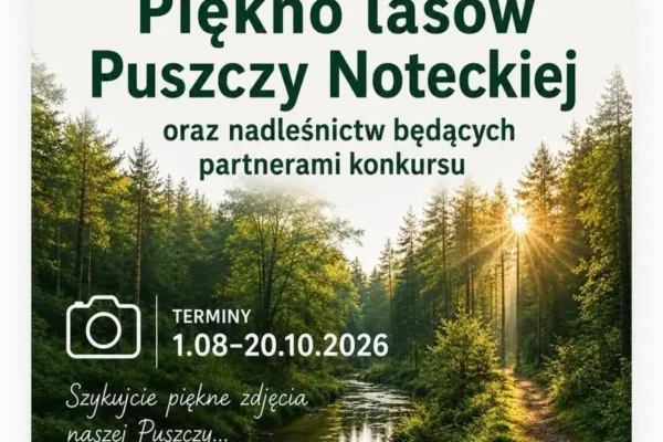 Konkurs fotograficzny „Piękno lasów Puszczy Noteckiej” – wyślij swoje zdjęcie do 20 października