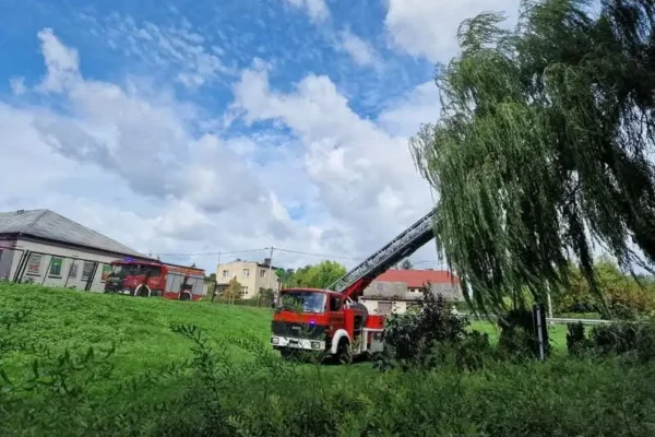 OSP Przytoczna i Skwierzyna usuwają konar wiszący nad bulwarem