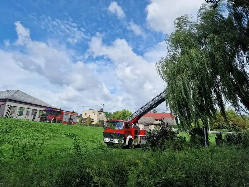 OSP Przytoczna i Skwierzyna usuwają konar wiszący nad bulwarem