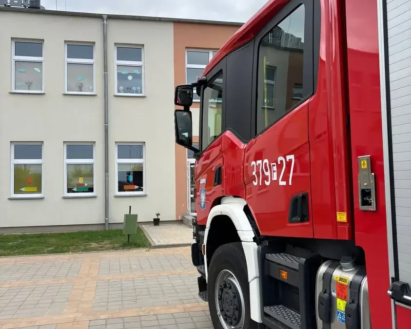 Interwencja OSP Przytoczna: usunięcie gniazda szerszeni w szkole