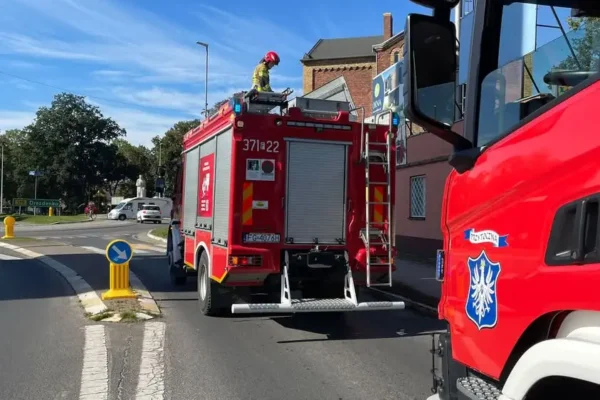Fałszywy alarm w Skwierzynie. Strażacy sprawdzali zgłoszenie o rozsypanym zbożu