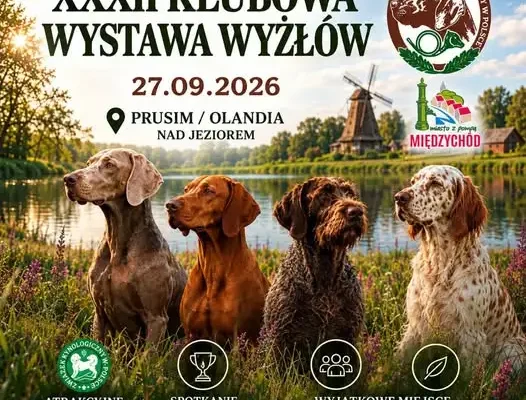 XXXII Klubowa Wystawa Wyżłów w Olandii – 27 września 2026