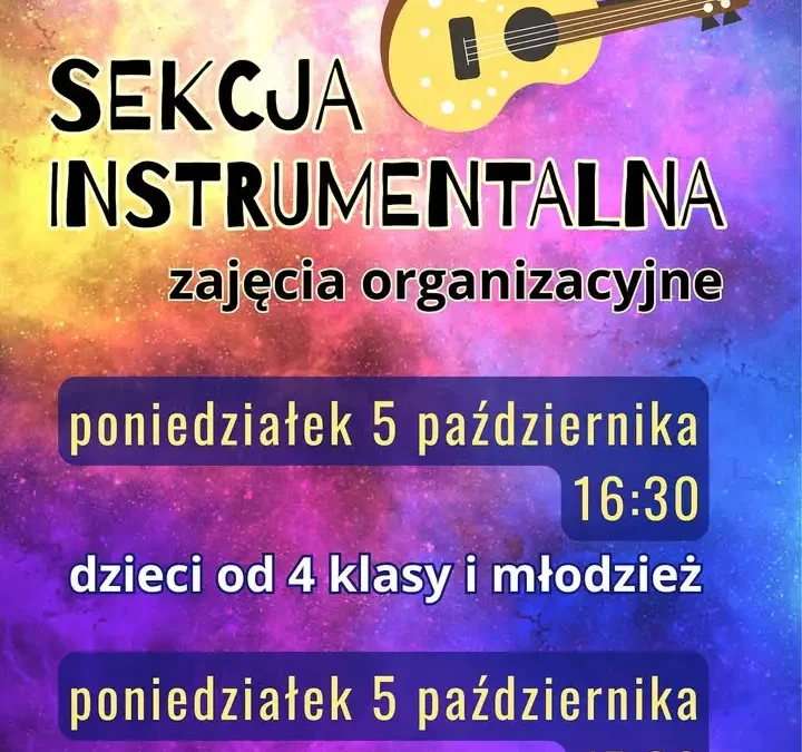 Nowa sekcja instrumentalna w GOK Przytoczna – gitara, ukulele, bas i perkusja