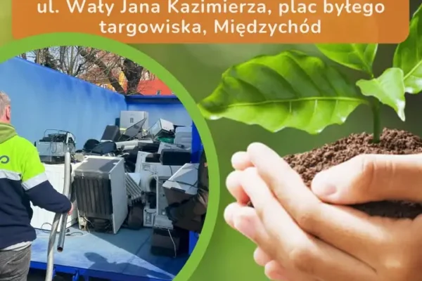 Międzychód: wymień elektroodpady na sadzonki – akcja „Rozsady za elektroodpady”