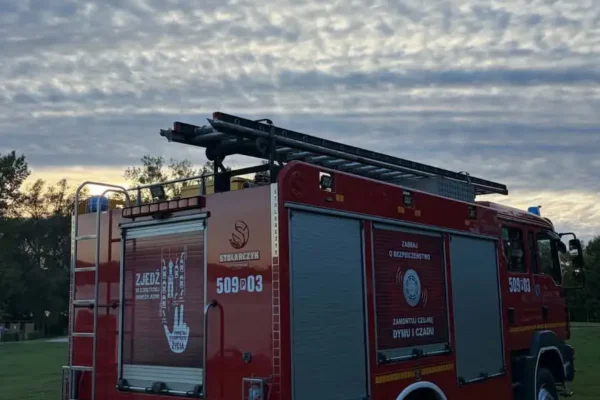 Chrzypsko Wielkie: konar drzewa wymagał interwencji strażaków OSP
