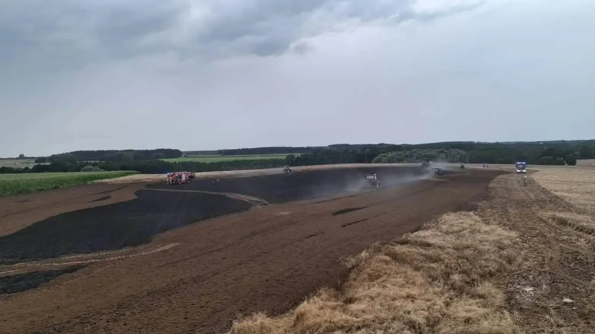 Pożar zboża na pniu w Białczu — akcja siedmiu zastępów OSP i JRG