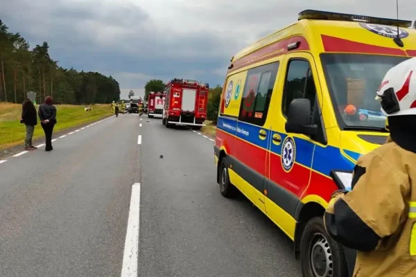 Interwencja nr 80: Zdarzenie drogowe na DK24 — akcja służb ratunkowych